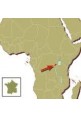 Rwanda Kibumbwe 100% arabica