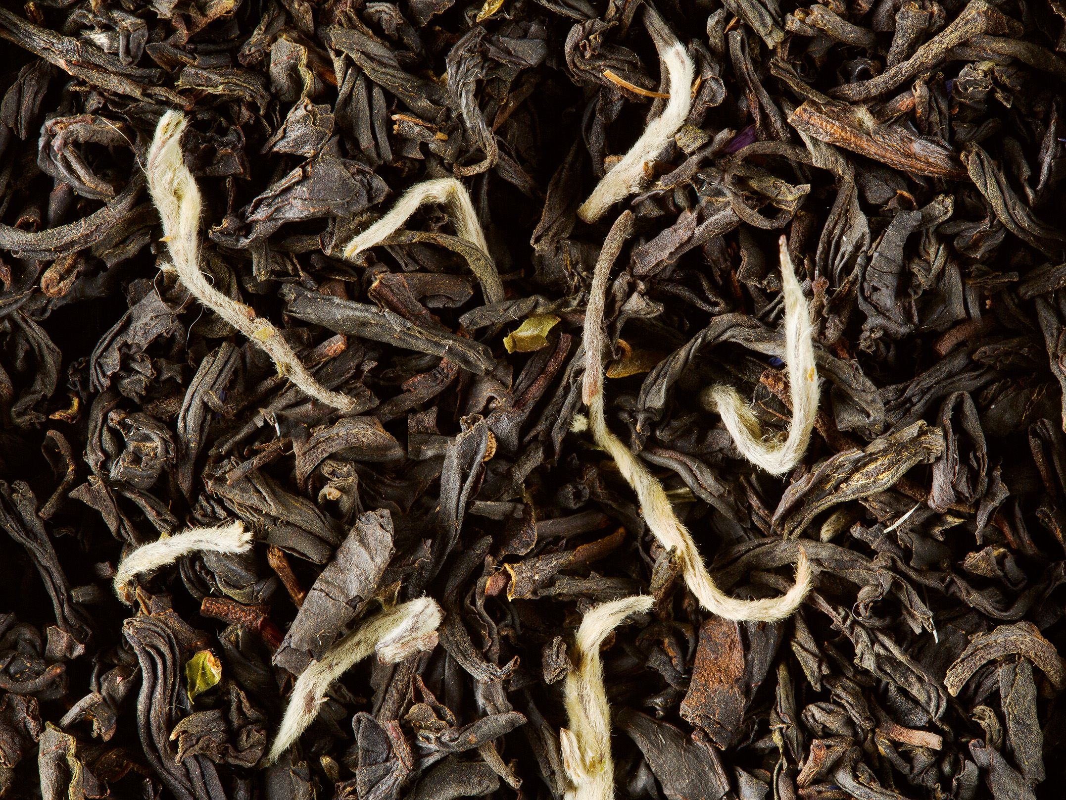 EARL GREY POINTES BLANCHES