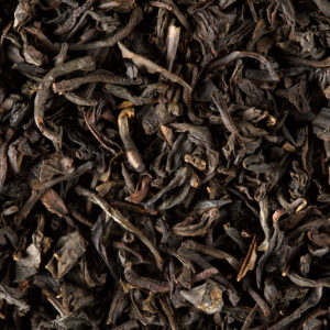 PAUL & VIRGINIE NOIR