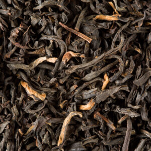 ASSAM SUPÉRIEUR G.F.O.P