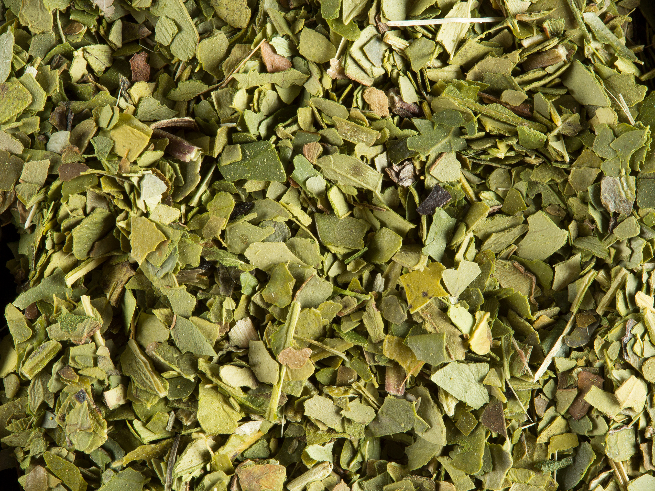 Maté vert vrac Dammann Frères