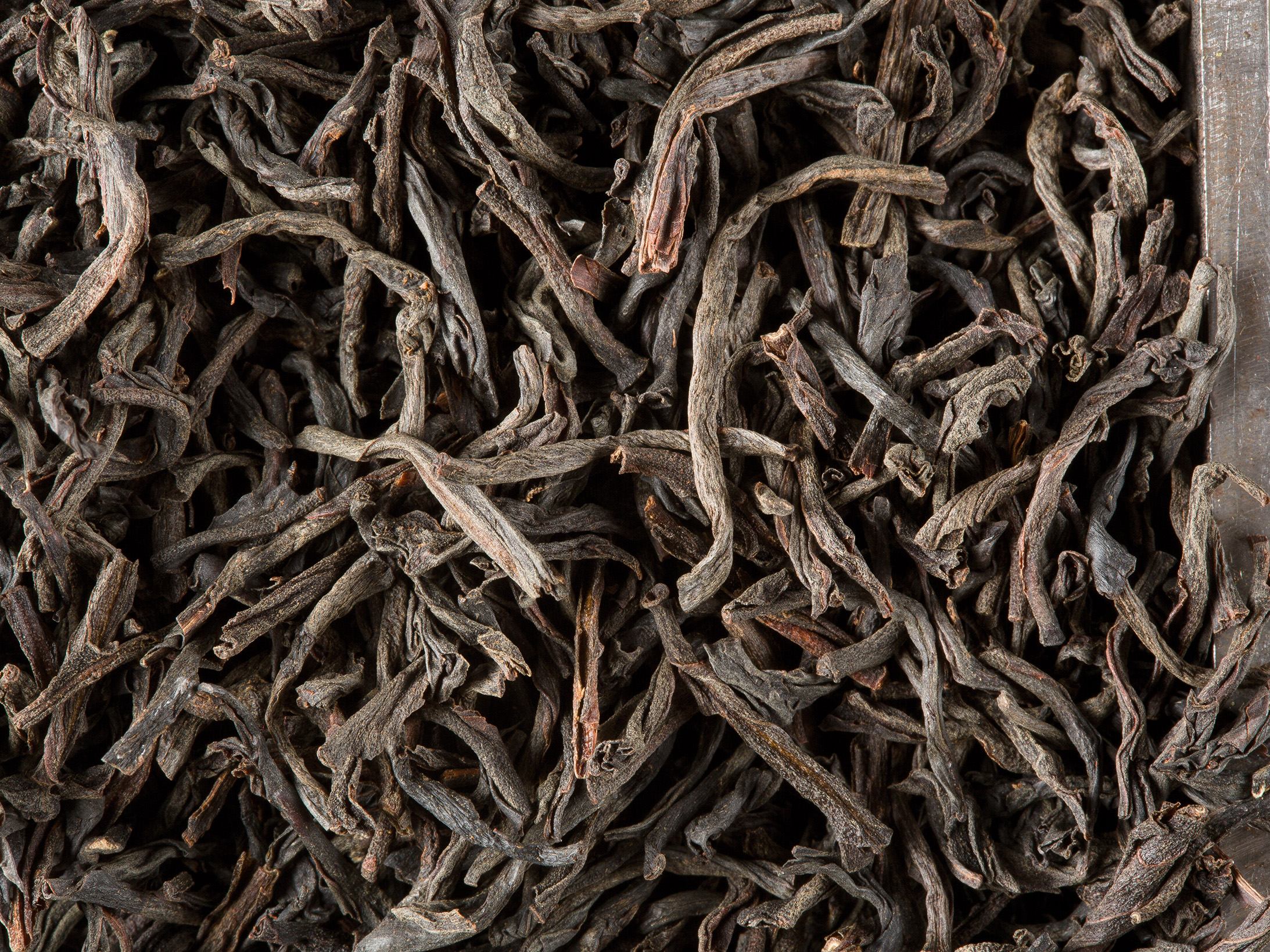 CEYLAN O.P SUPÉRIEUR