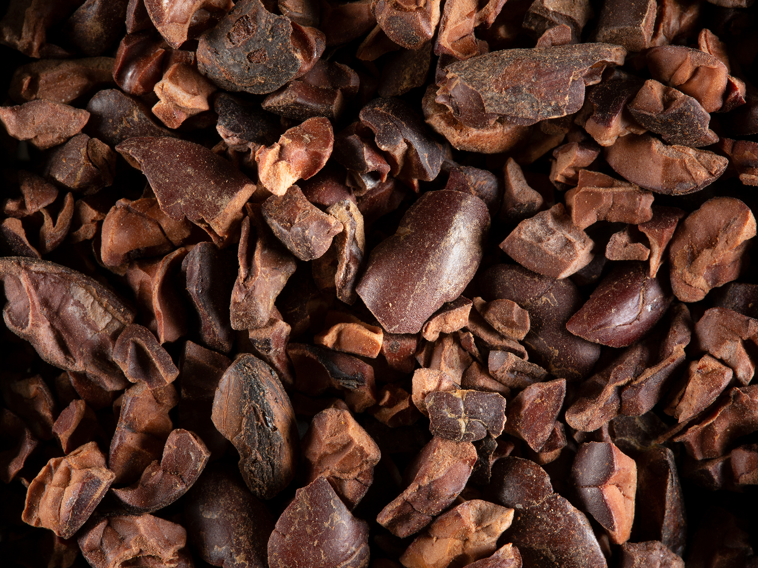 Infusion grué de cacao vrac Dammann Frères