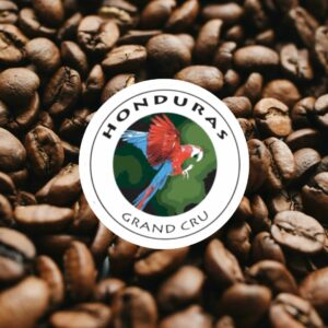 nicaragua maragogype