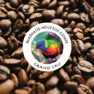 nicaragua maragogype